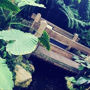 Meet your Posher, Mara